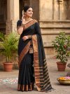 Ambrapali By Aab Mercerised Silk Border Saree